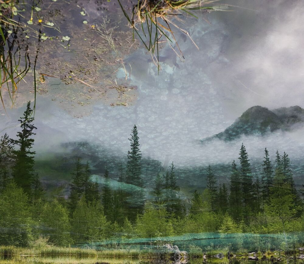 Photograph by Ирина Яук