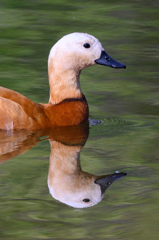 Photograph by Вячеслав Белов