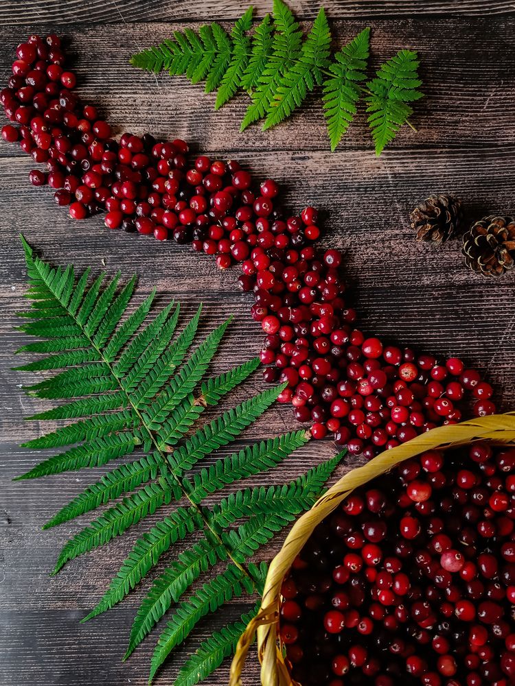 Photograph by Светлана Таркан