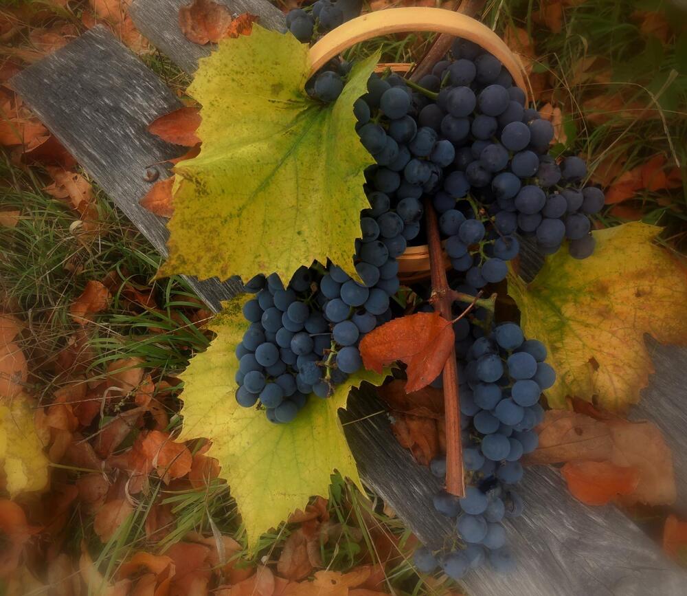 Фотография автора Павел Попов