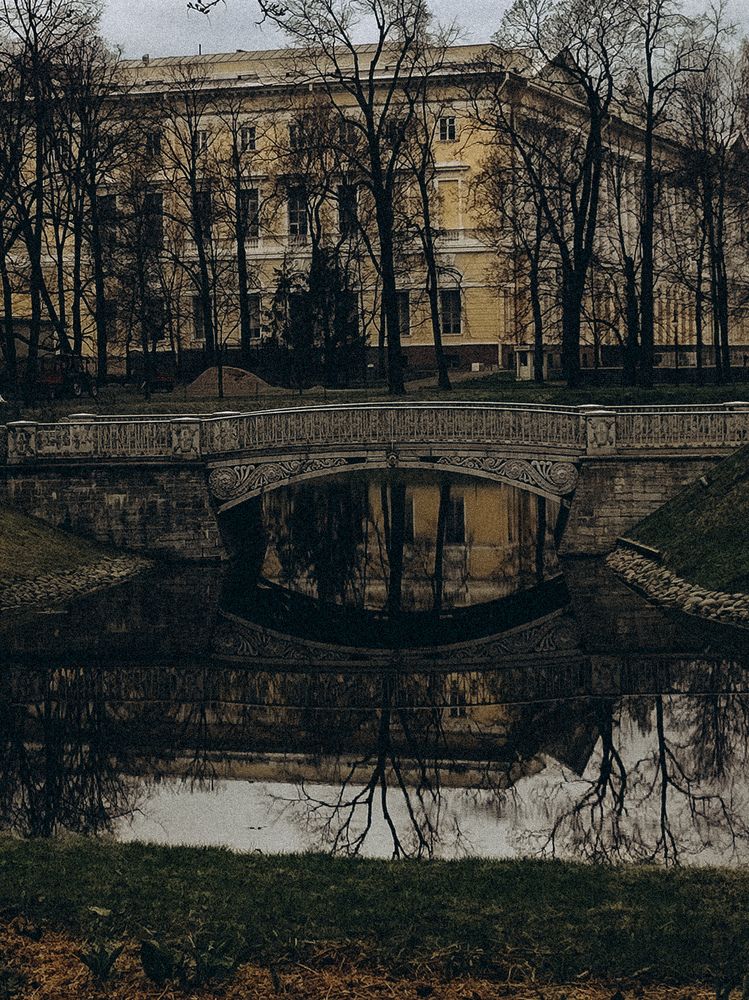 Фотография автора Алиса Исаева