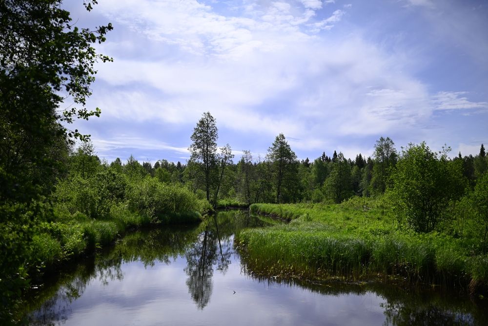 Photograph by Шеремет Олег