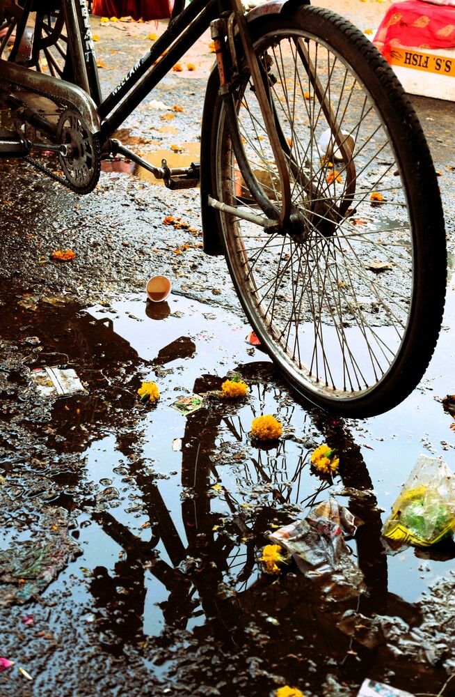 Photograph by G GOVIL