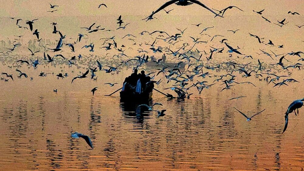 Photograph by G GOVIL