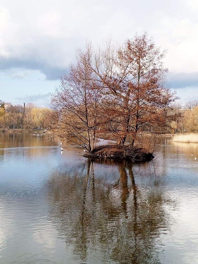 Photograph by Дина Полухина