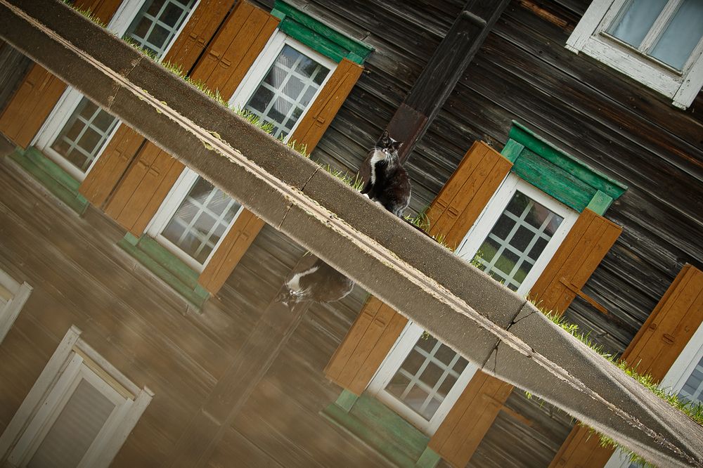 Photograph by Дарья Улюсова