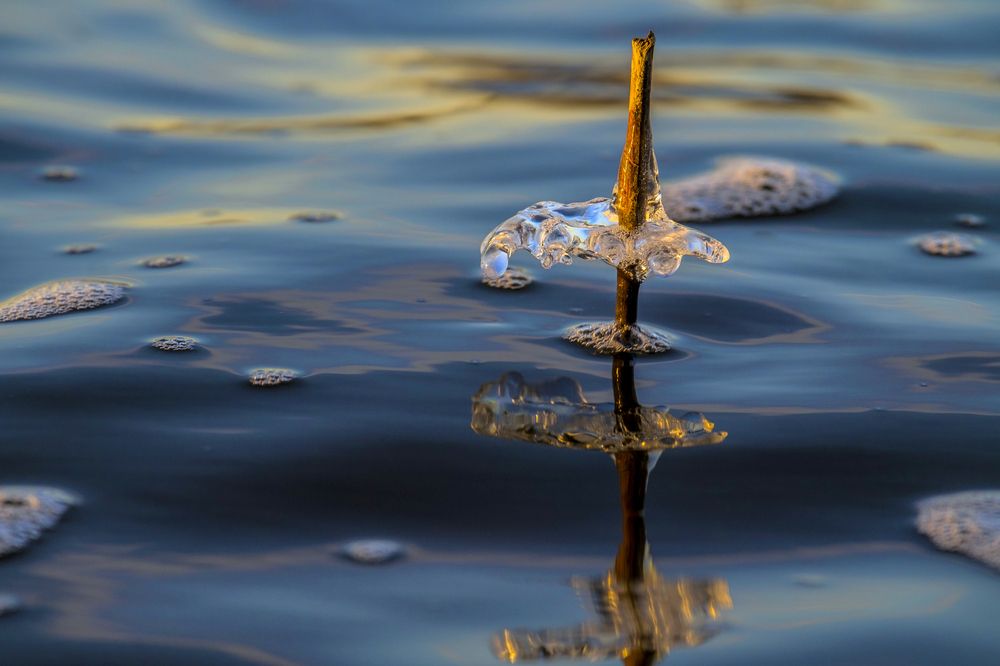 Photograph by Александр Строков