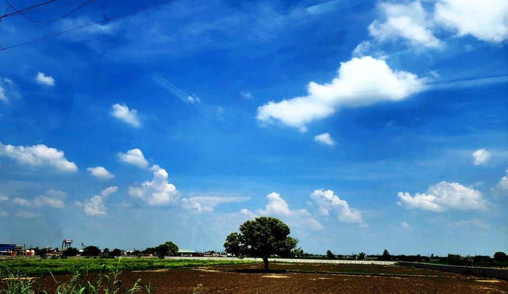 Photograph by G GOVIL