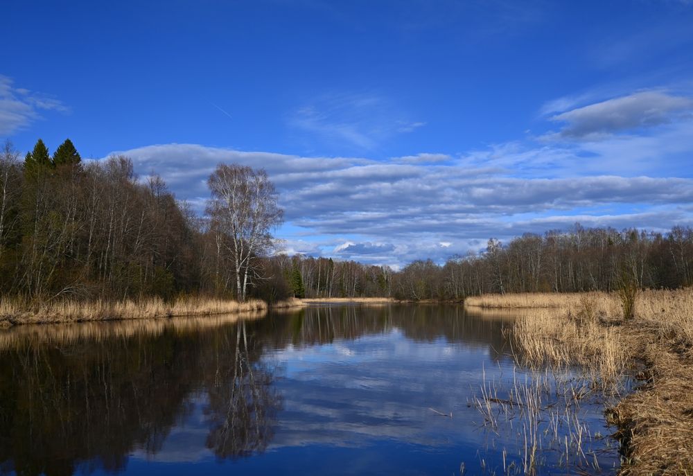 Photograph by Шеремет Олег