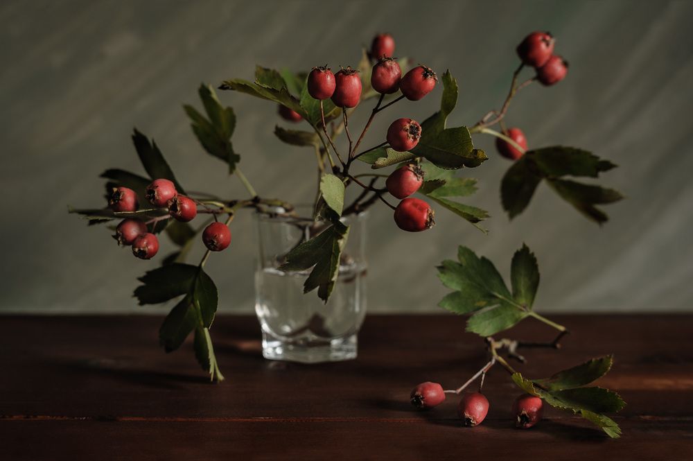 Photograph by Владимир Тузлай