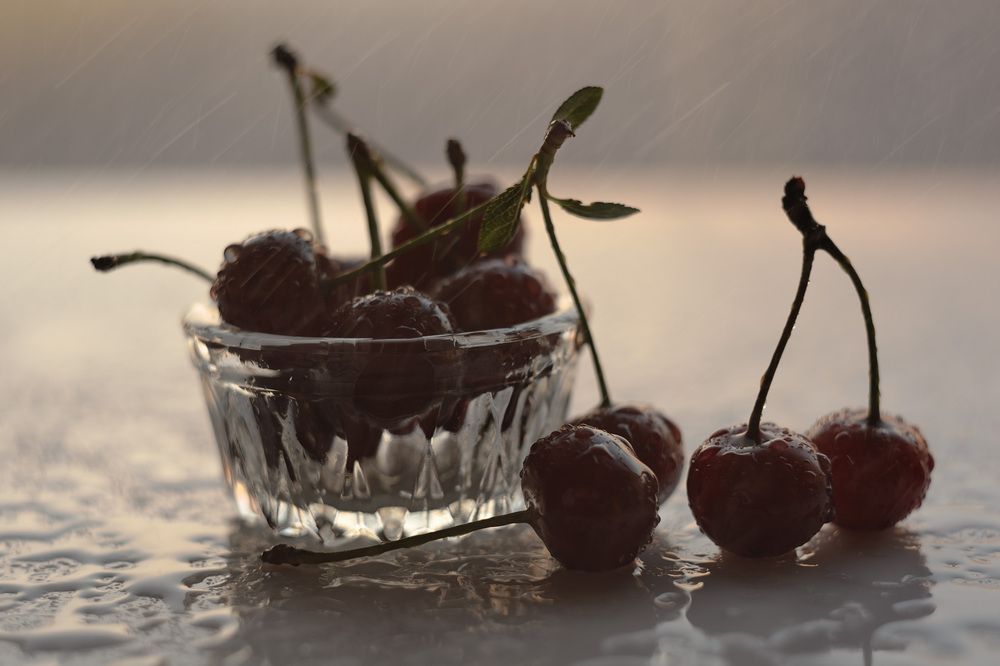 Photograph by Владимир Тузлай