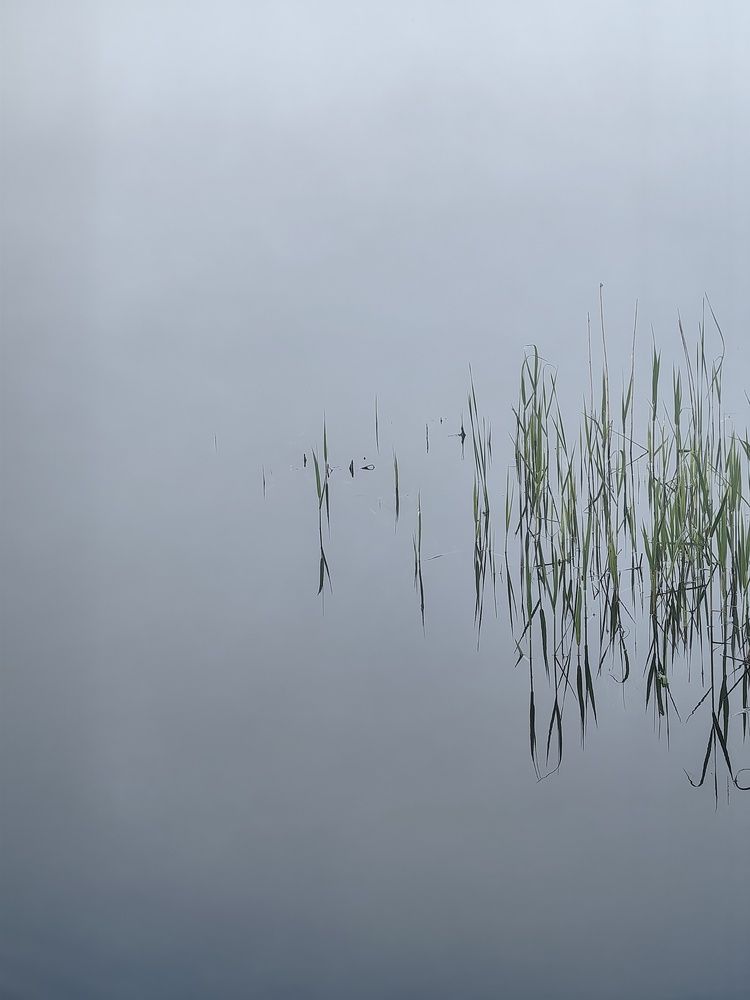 Photograph by Гульназ Шайхисламова