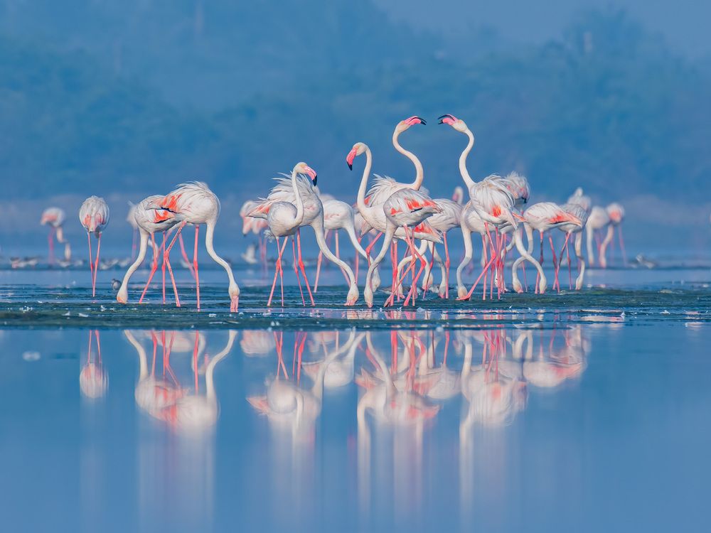 Photograph by Anandhu M