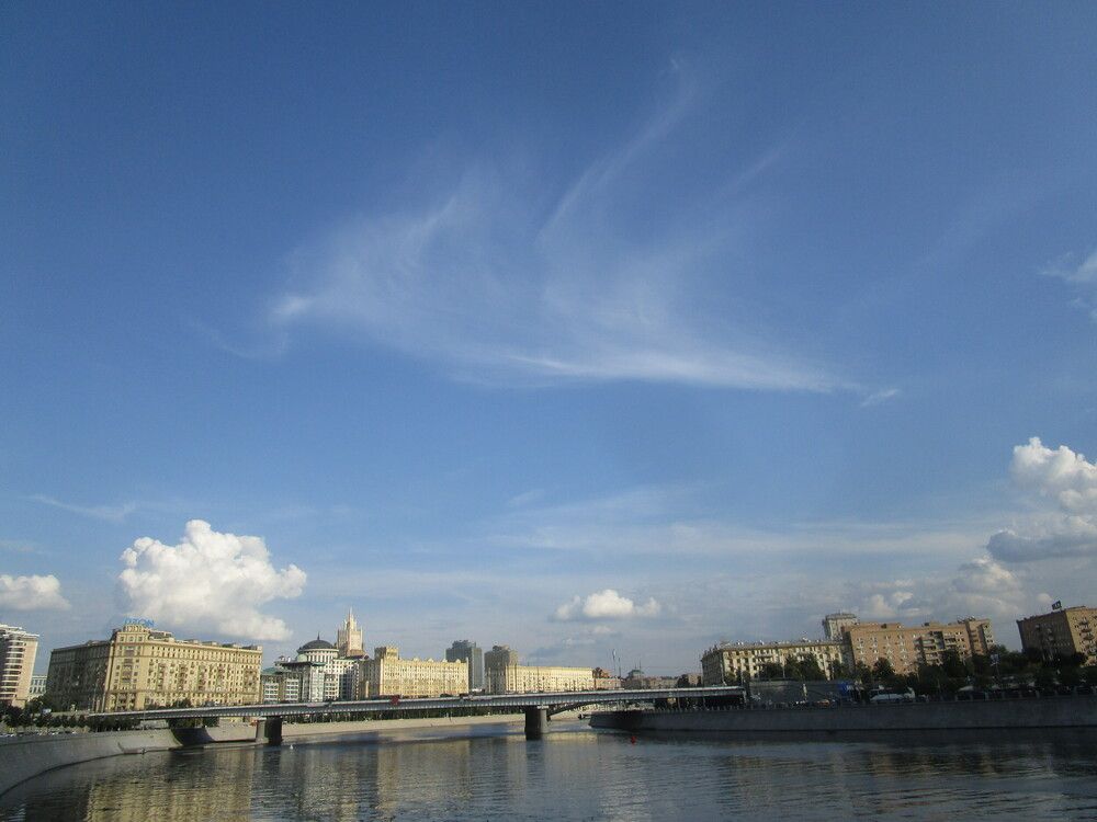 Photo #12310823