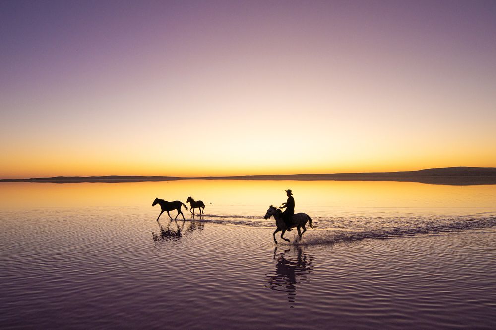 Фотография автора Mustafa Binol