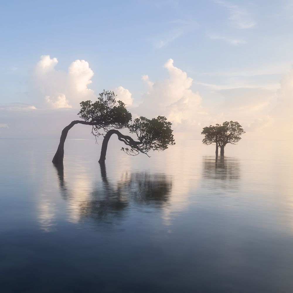 Photograph by Tatiana Runova