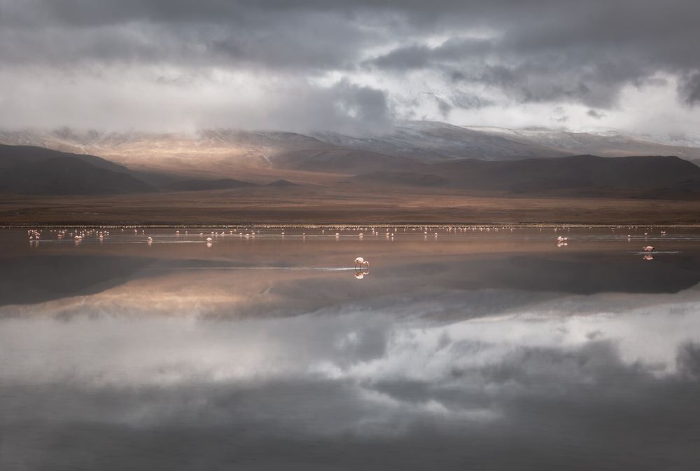 Photograph by Tatiana Runova