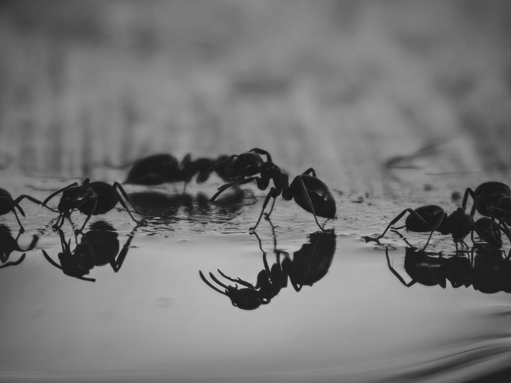 Photograph by Yuliya Karpova