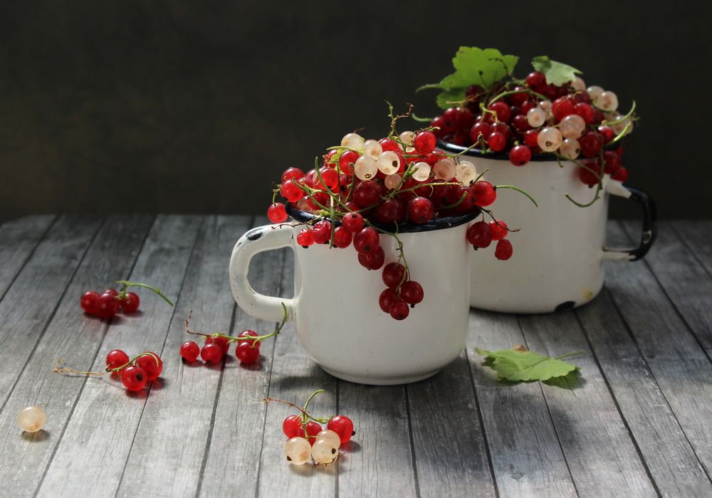 Photograph by Сироткина Нина