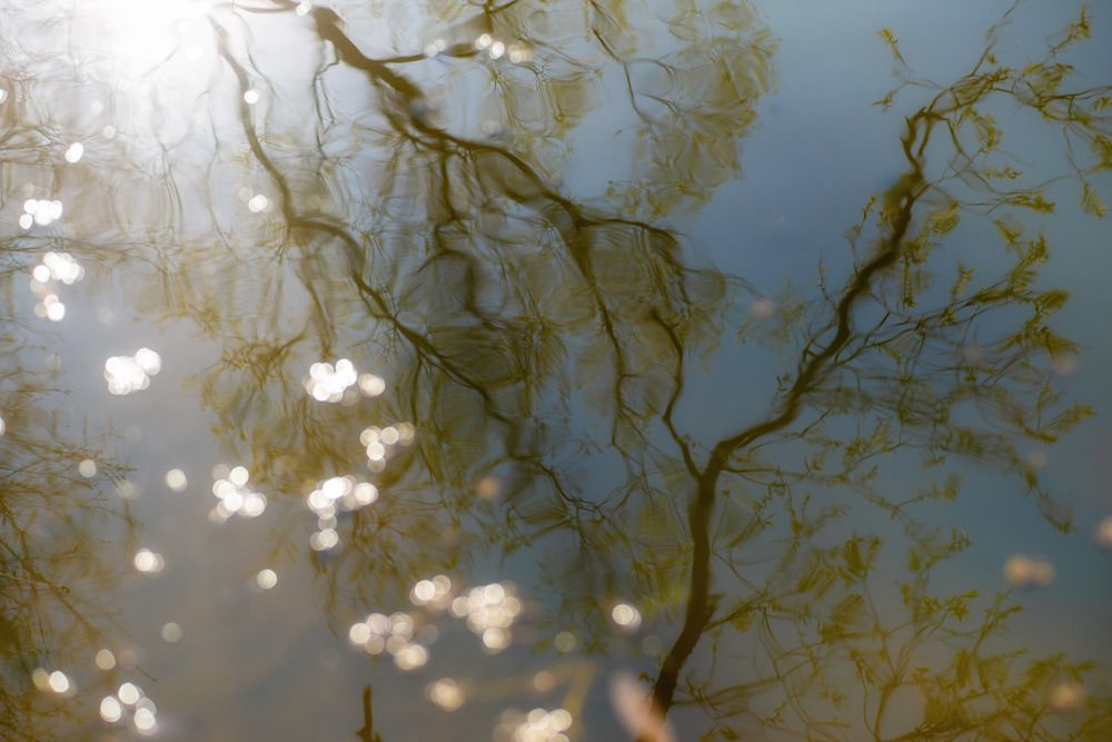 Photograph by Валентина Тарасова