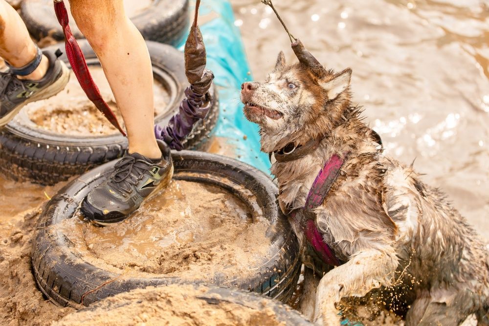 Photograph by Ольга