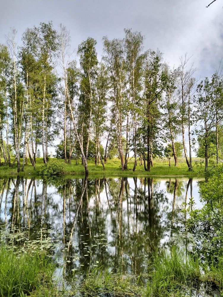 Photograph by Svetlana Aleks