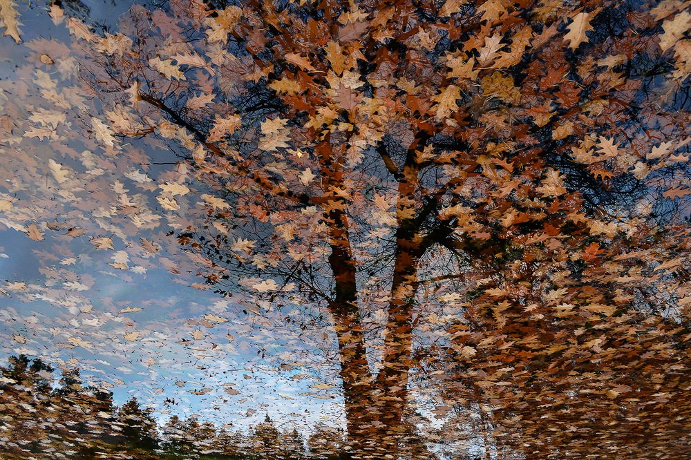 Photograph by Regīna Jurionas-Jurgāne