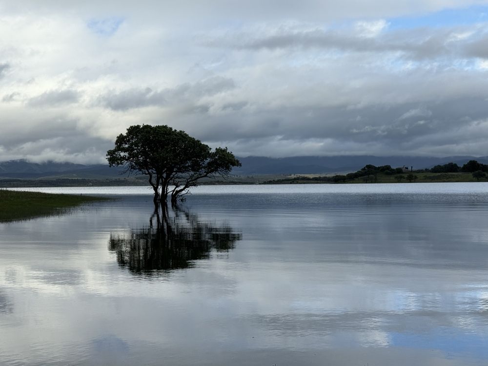 Photograph by Lila Sabbaghian Rad