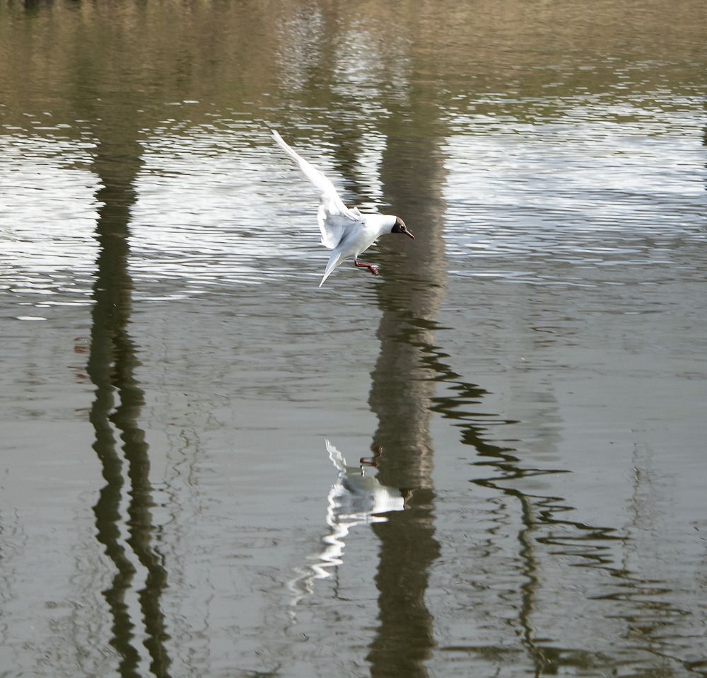 Photograph by Инна Воробьева