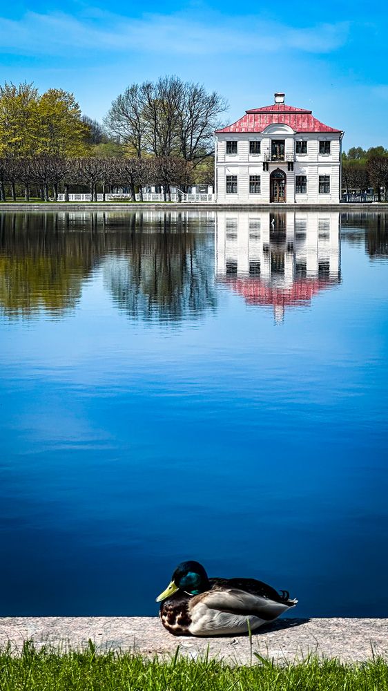 Photograph by  Ирина