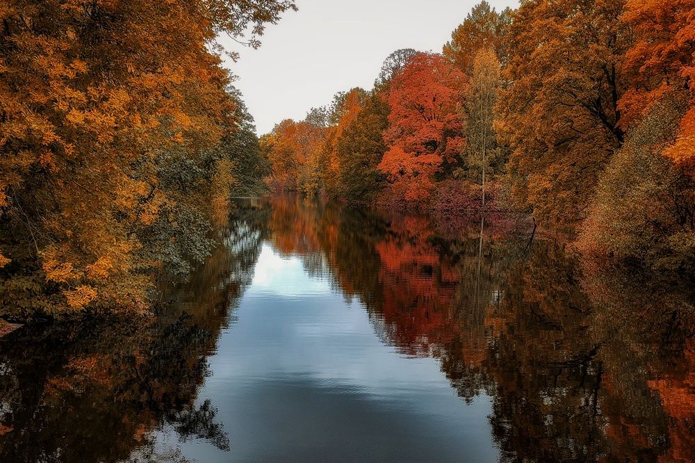 Photograph by Татьяна Бравая