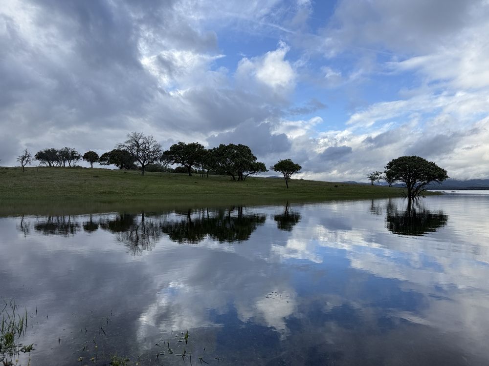 Photograph by Lila Sabbaghian Rad