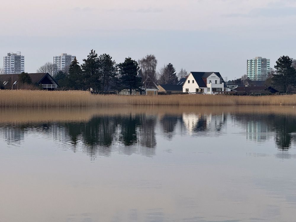 Photograph by Lila Sabbaghian Rad