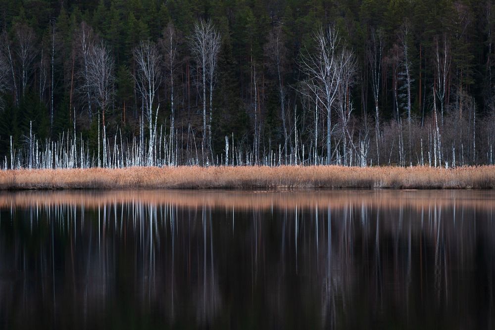 Photograph by Ольга Крицак