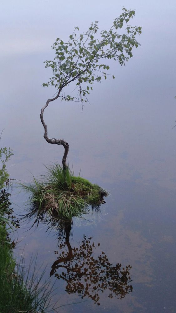 Photograph by Ольга Крицак