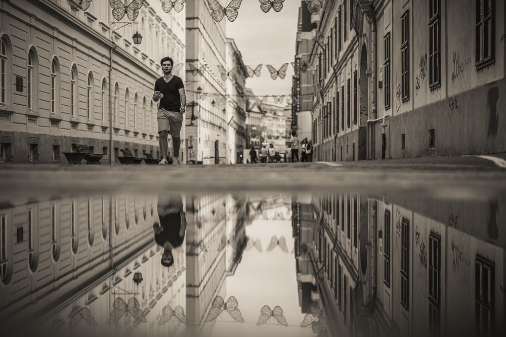 Photograph by Alexandru Tomici