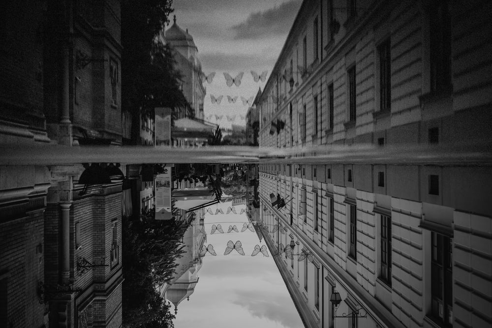 Photograph by Alexandru Tomici