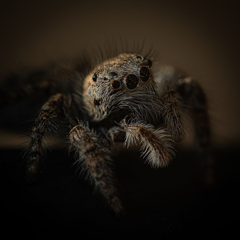 Photograph by Andrea Barlotti