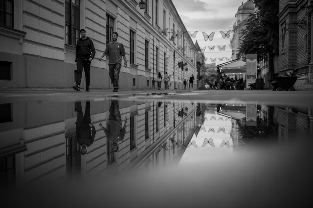 Photograph by Alexandru Tomici