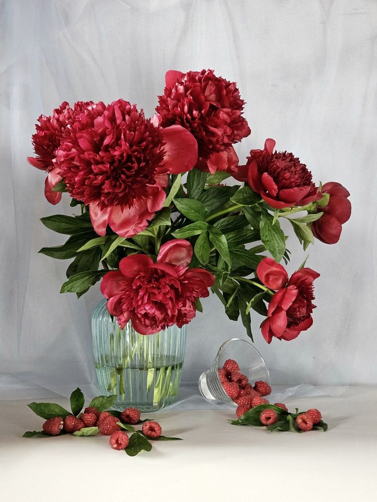 Photograph by Галина Левина