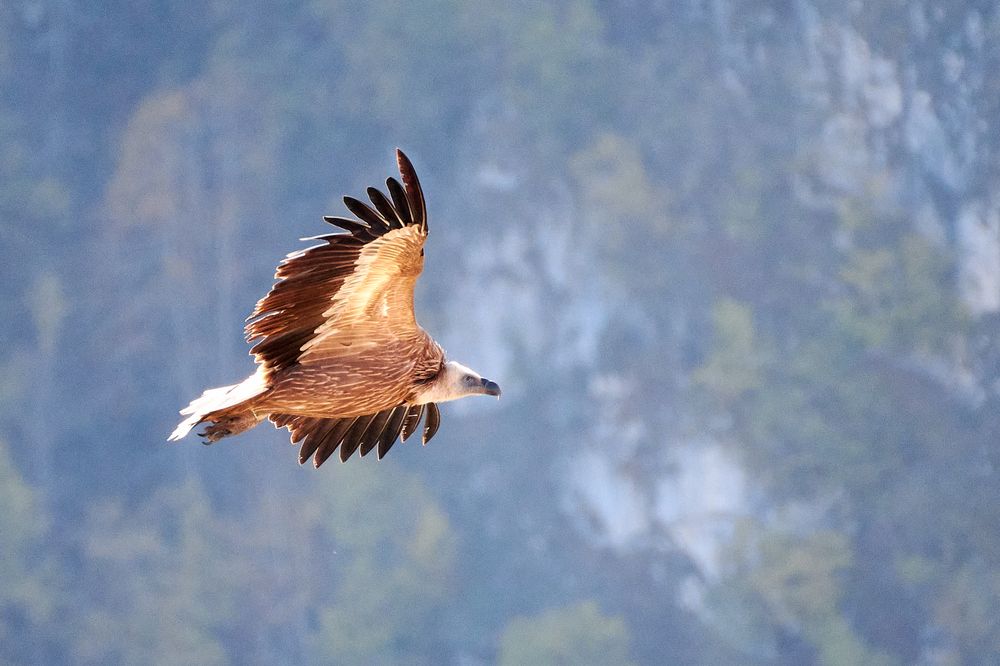 Photograph by Nikola Simic