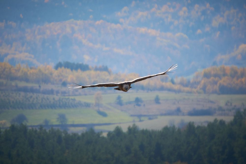 Photograph by Nikola Simic