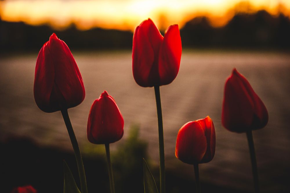 Photograph by Евгений Николаенков