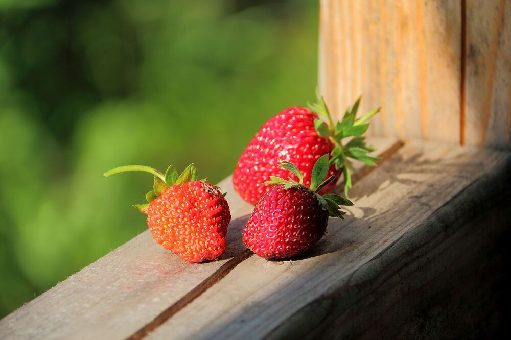 Photograph by Юрий Варюхин
