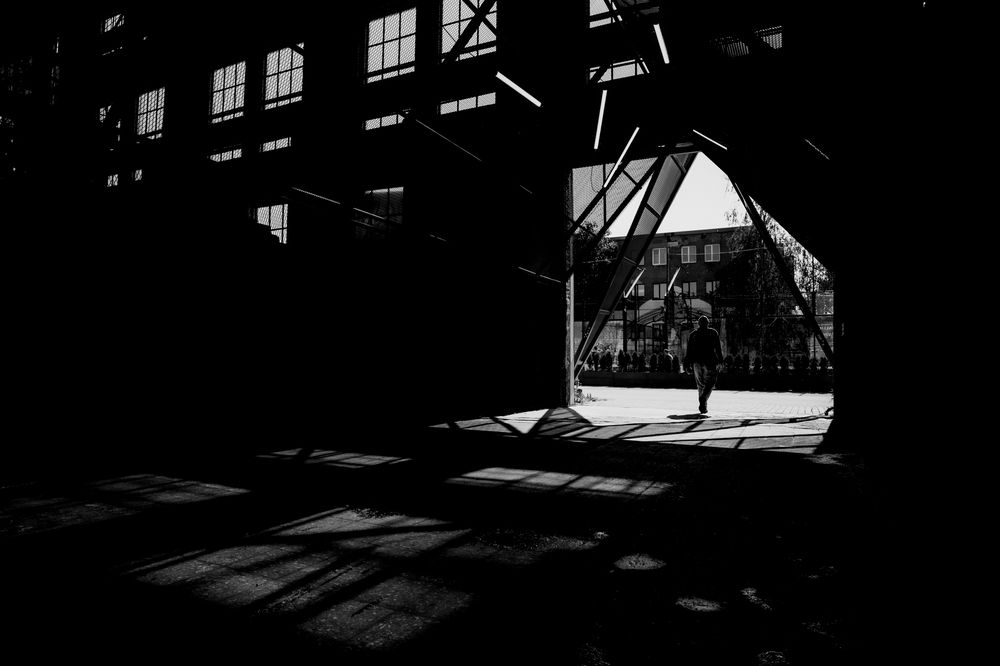Фотография автора Nikolay Surovtsev