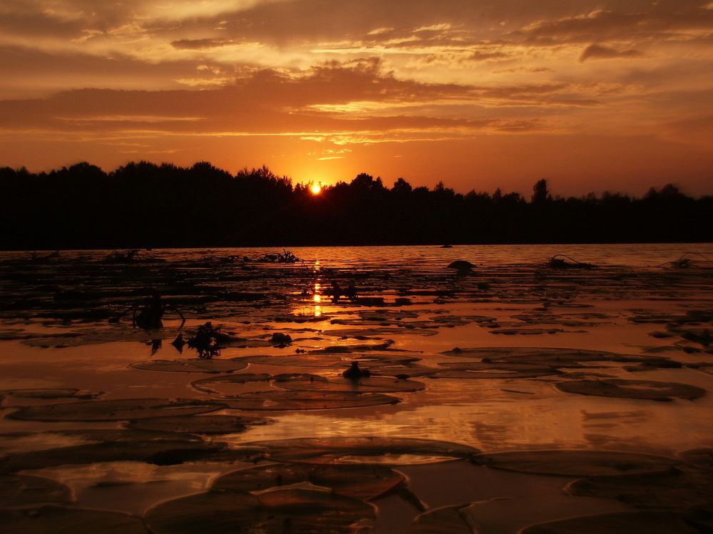 Photograph by Евгений Николаенков