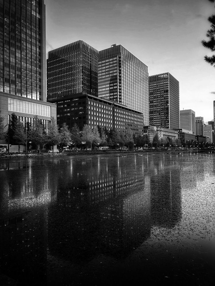 Photograph by Елена Хорошильцева