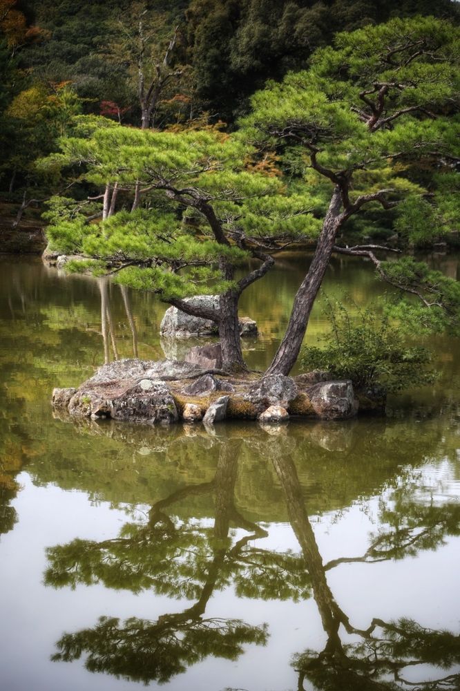 Photograph by Елена Хорошильцева