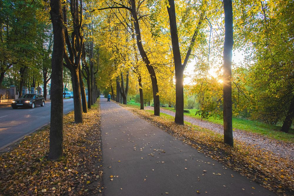 Photograph by Евгений Николаенков