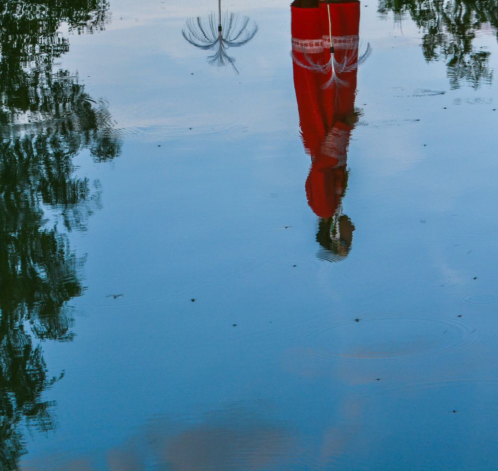 Photograph by Анастасия Гурова